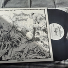 DISASTROUS MURMUR Skinning Beginning 1989 - 1991 LP - pikkukuva 1