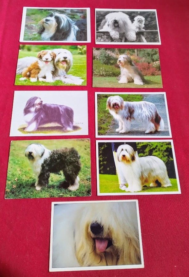 9 BOBTAIL  POSTIKORTTIA
