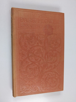 John Galsworthy : The dark flower