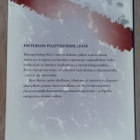 James Patterson - Pahan kidassa - pikkukuva 2