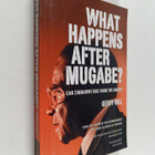 Geoff Hill : What happens after Mugabe? - Can Zimbabwe ri... - pikkukuva 1