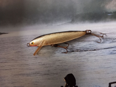 Rapala 1950-luvun alkupuoli