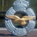 SA - Ilmavoimat kokardi. Halkaisija - 44 mm. - pikkukuva 4