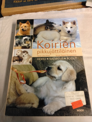 koirien pikkujättiläinen