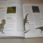 Tiedon polku Dinosaurukset - pikkukuva 2