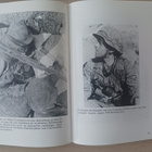 Uniformen der waffen-ss - pikkukuva 3