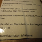 5 kpl Englantilaisia sodanaikaisia laivoja 1940 luvulta - pikkukuva 5