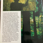 METSÄ HUUTAA - pikkukuva 3