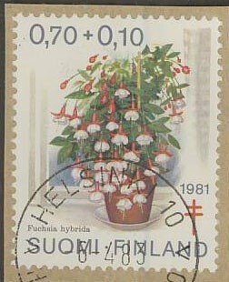1981 tub 70p loisto