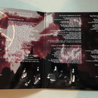 Marduk – Heaven shall burn... LP *Purple marble - pikkukuva 2
