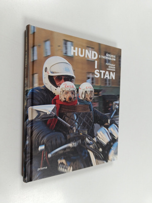 Solveig S. Thörnblom : Hund i stan