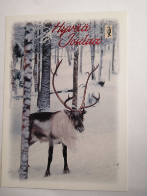 Suomen luonnonsuojeluliitto Joulukortti. Poro