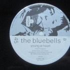 The Bluebells: Young At Heart 12" single 1984 - pikkukuva 3