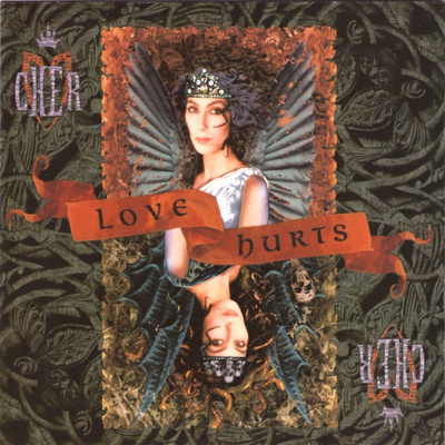 Cher • Love Hurts CD