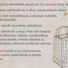 Sarah Wilson: Irti sokerista - pikkukuva 4