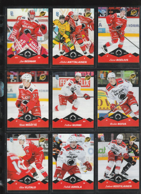 ässät peruskortit+peruserkkarit Team Setti Blueline 26-27