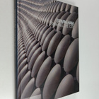Ben Flatman : Birmingham - Shaping the City - pikkukuva 1