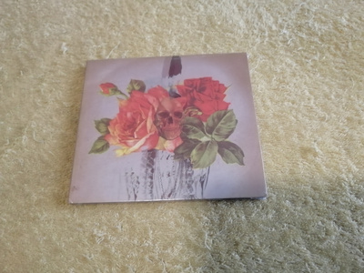 THE BITTERLICKS - Delusions CD