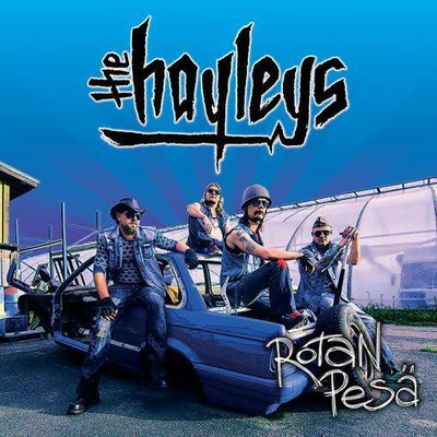 The Hayleys: Rotan Pesä