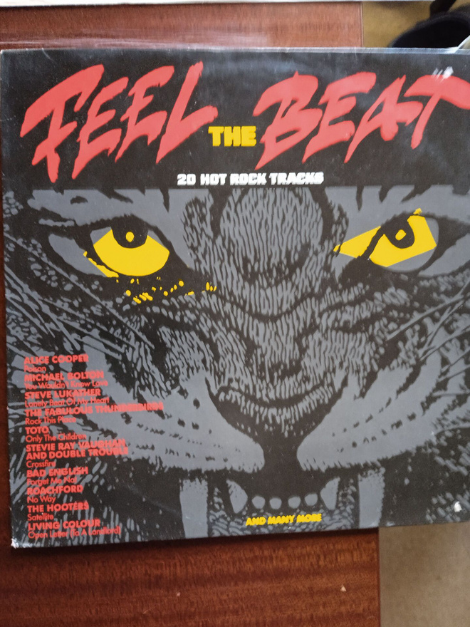 2 LP-LEVYÄ: FEEL THE BEAT: 20 HOT ROCK  TRACKS