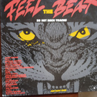 2 LP-LEVYÄ: FEEL THE BEAT: 20 HOT ROCK  TRACKS - pikkukuva 1