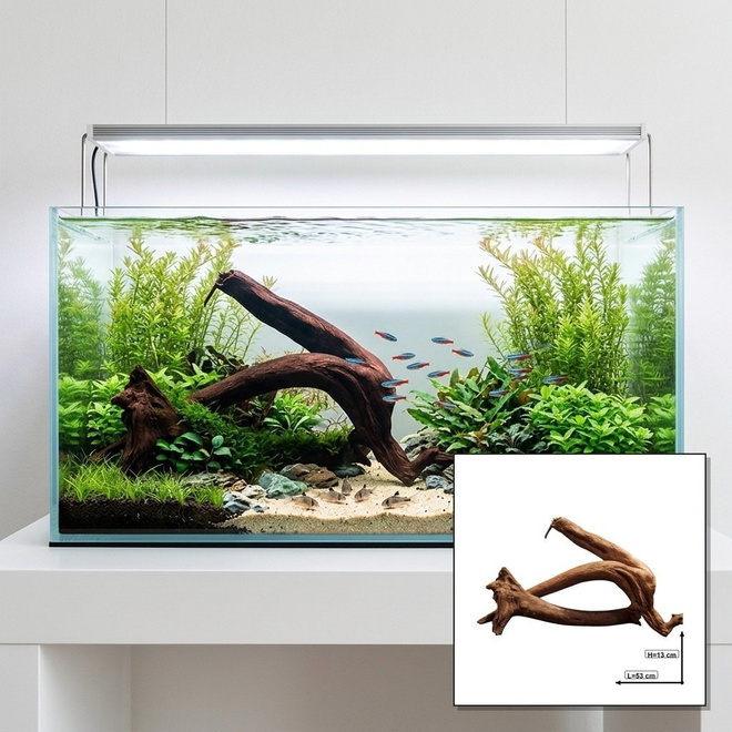 Uniikki akvaariojuurakko 53 cm | S2142622