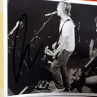 SUNRISE AVENUE - LIVE IN WONDERLAND INSERT NIMMAREILLA - pikkukuva 3