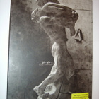 AUGUSTE RODIN JA POHJOLA (Sis.postikulut) - pikkukuva 2