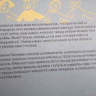 Eläköön erilaisuus, oppimisen vallankumous käytännössä - pikkukuva 3