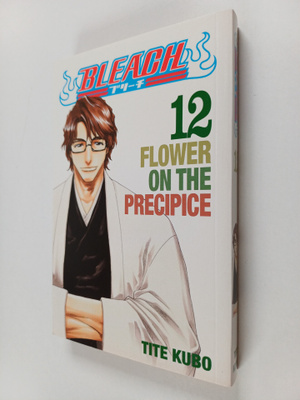 Tite Kubo : Bleach, 12 - Flower on the precipice