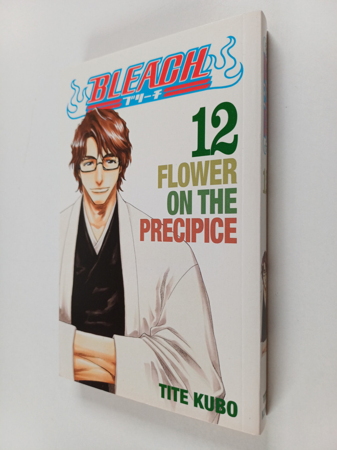 Tite Kubo : Bleach, 12 - Flower on the precipice