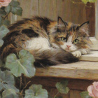 Kissa kortti - pikkukuva 1