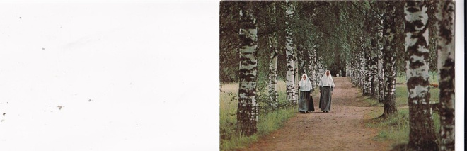 Palokki. Lintulan luostari, sisaret,   b707