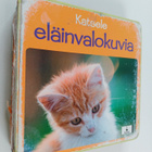 Katsele eläinvalokuvia - pikkukuva 1