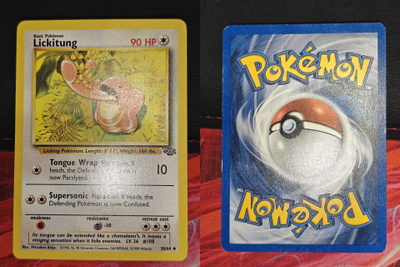 Pokémon Lickitung