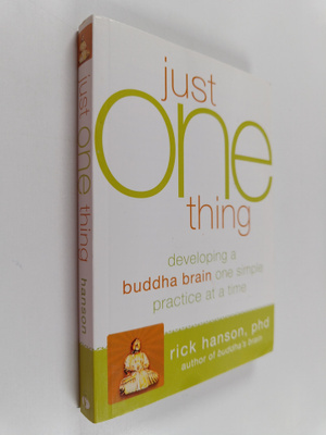 Rick Hanson : Just one thing : developing a Buddha brain ...