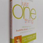 Rick Hanson : Just one thing : developing a Buddha brain ... - pikkukuva 1