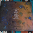 THE TAIL GATORS ~ Hide Your Eyes ~ LP - pikkukuva 2