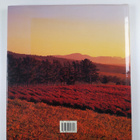 Bruce Cameron : Magnificent South Africa - pikkukuva 2