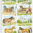 ~ EF 7149, upeat hepat-arkki ~ - pikkukuva 1