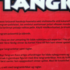 Tangram Race Peli. Tactic - pikkukuva 4