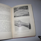 Olavi Paavolainen: Kolmannen valtakunnan vieraana :3p v 1937 - pikkukuva 5