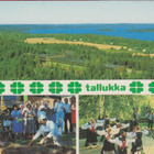 Vääksy Tallukka - pikkukuva 1