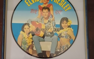 ELVISPRESLEY LP kuva taulu