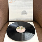 Genesis / Wind And Wuthering / 1976 / lp. - pikkukuva 1