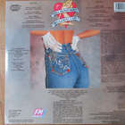 Lisa Dominique – Rock 'N' Roll Lady (Rare, cheesecake -LP) - pikkukuva 3