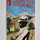 Hermann Hesse : Katoava kesä : kertomuksia - pikkukuva 1