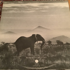 ELEPHANT’S MEMORY*. - Elephant’s Memory - pikkukuva 5