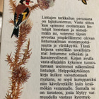 EUROOPAN LINTUOPAS - PIENI KÄSIKIRJA - pikkukuva 2