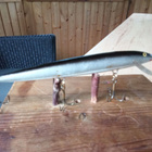 Original Rapala floafing Finland 12,5cm - pikkukuva 1